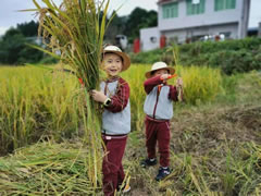 自然教育 | 東辰六力寶貝邂逅秋天