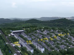 山與海的新鄰居