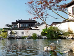 山海換季，院子也愈發(fā)美了起來