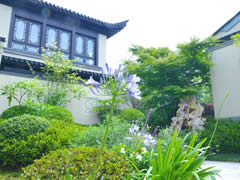 在春天的院子里，享受詩和遠方