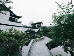 初夏的院子，打開夏日清涼的記憶