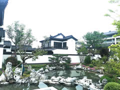 樸素的院子，自然的山海，才是人生所愿