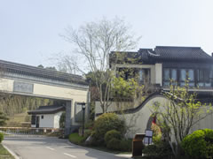 花開花落，不言不語，卻寫盡四季