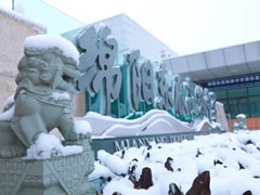 這里，粉妝玉砌，玉樹瓊枝，還有天真爛漫的東辰學子！