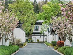 仙海院子 | 自然洗禮，院見芳華