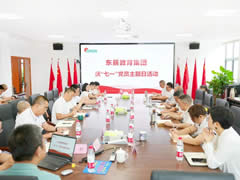 建設教育新質生產力 踐行教育報國使命丨東辰教育集團開展慶“七一”主題黨建日活動