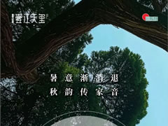 暑意漸消退 秋韻傳家音 | 壹江天璽8月生活家書
